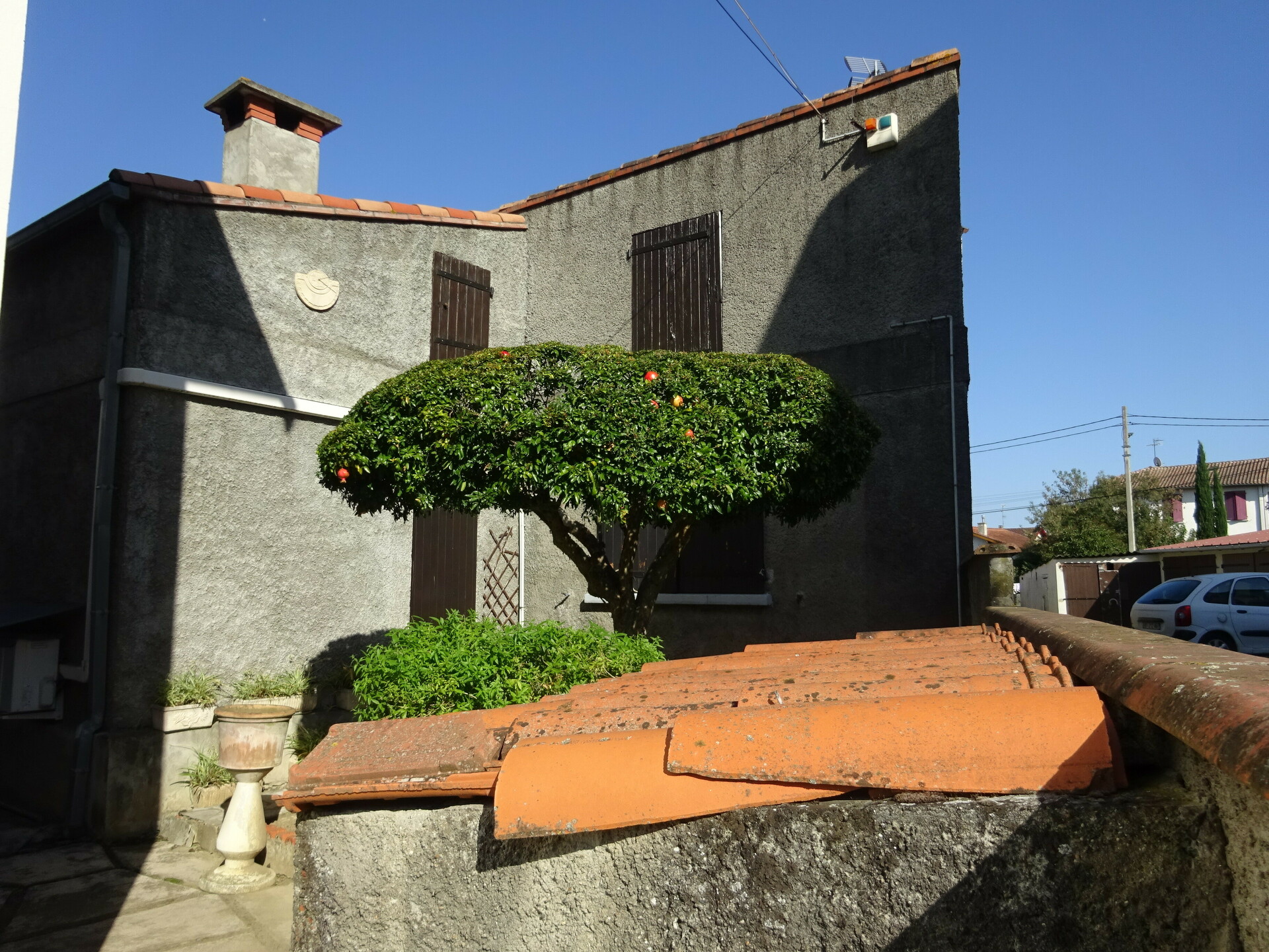 Image 11