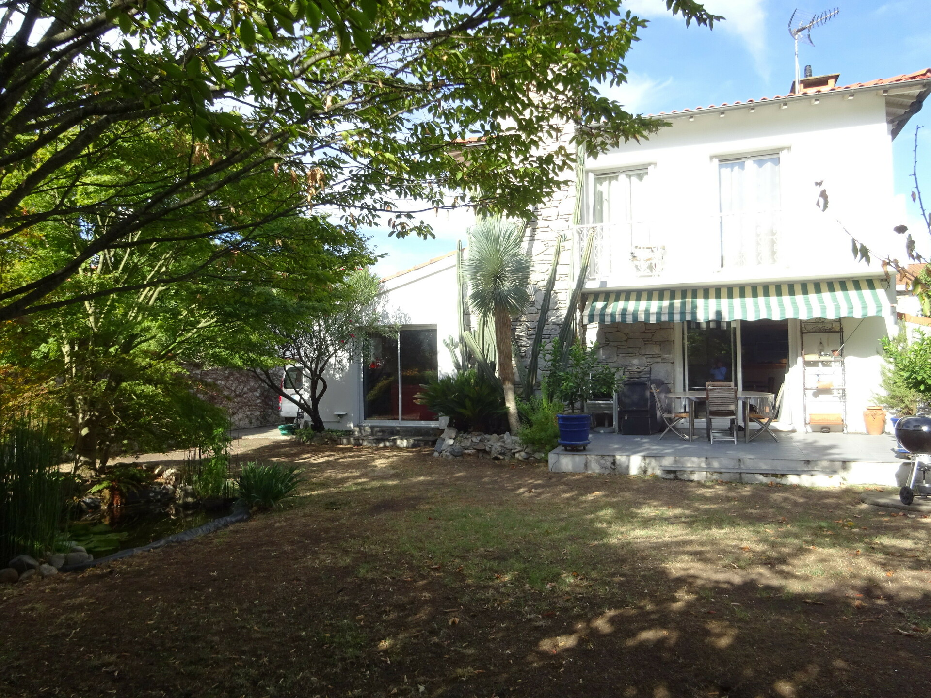 Image 15